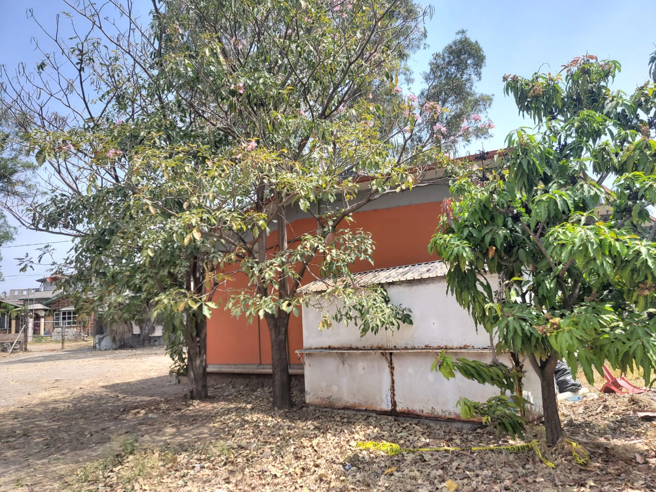 Imagen 1