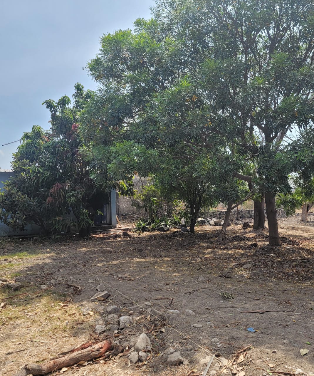 Área 2